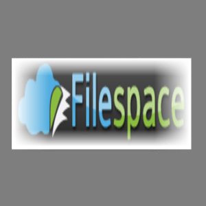 اکانت اشتراک 30 روزه FileSpace.com