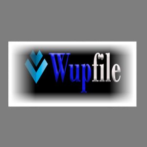 اکانت اشتراک 30 روزه Wupfile.com
